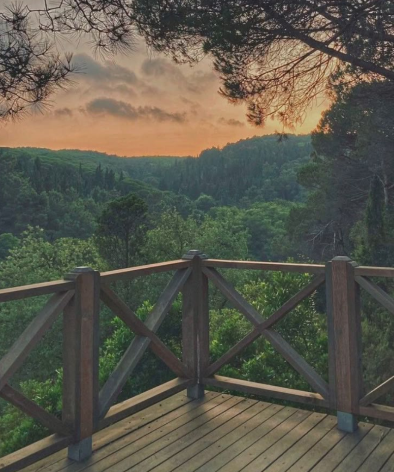 Scenery